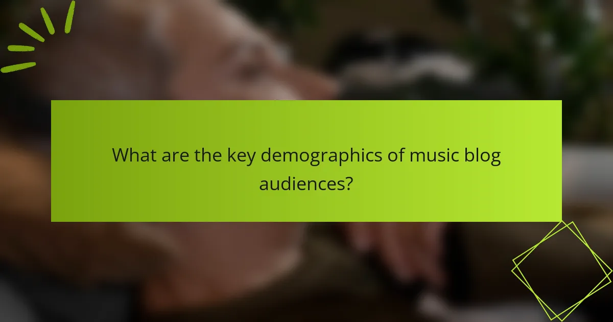 What are the key demographics of music blog audiences?